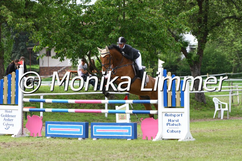 005M6472_Lakato_Springpferde L.JPG